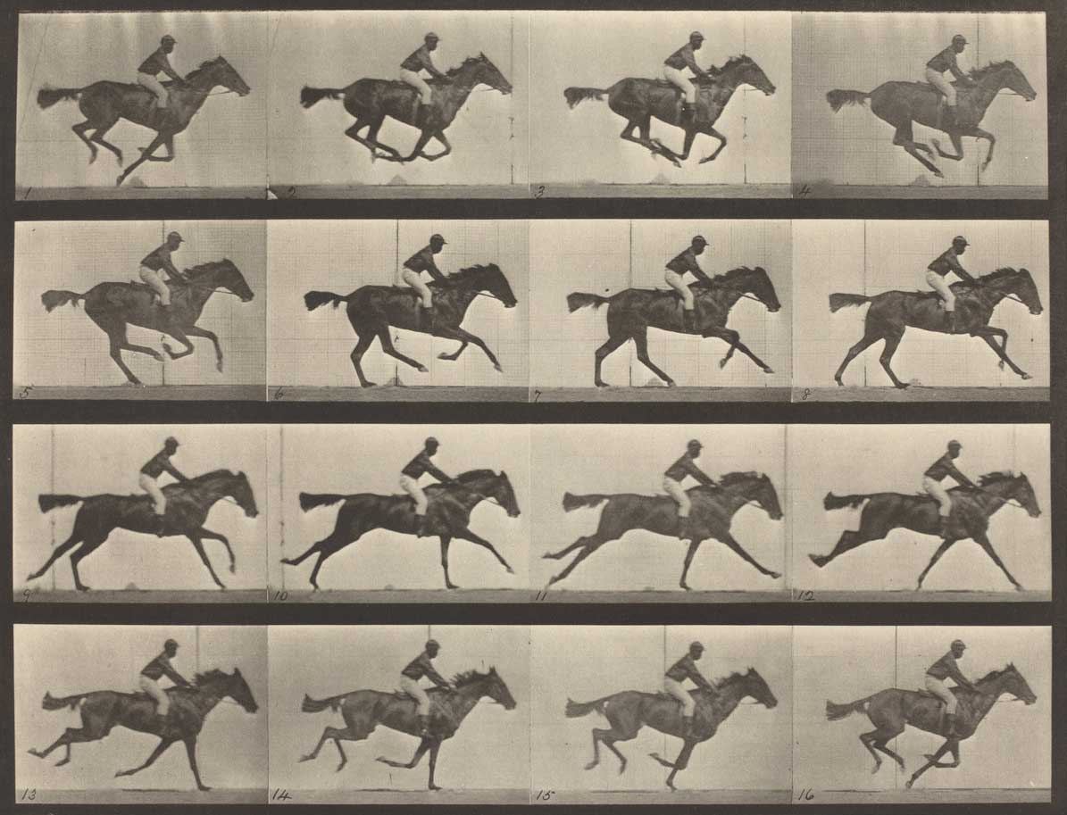 muybridge-locomotion-horse